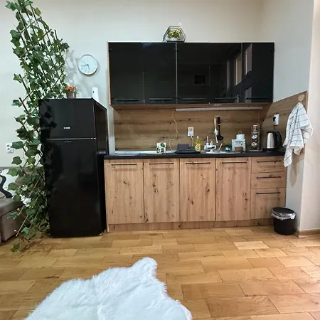 公寓 Dana 贝尔格莱德