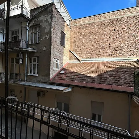 Dana Belgrad